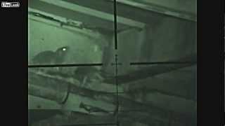 Крысы. Судный День.Rats The Judgment-Day Total Extermination