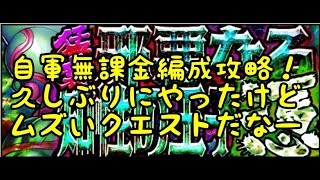 マッスルショット　ソロ猛襲フェニックス攻略動画