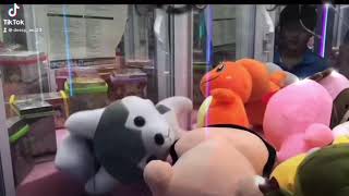 WE WIN THE CUTES DOGS