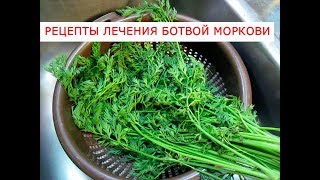 Рецепты лечения ботвой моркови озвучено