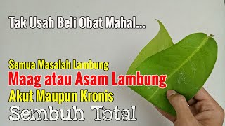 HANYA ORANG TERTENTU YANG TAHU... COBA PAKAI INI, SEMUA GANGGUAN LAMBUNG SEMBUH SECARA ALAMI