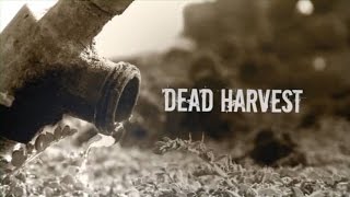 Dead Harvest -- Central Valley of California Water Crisis