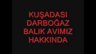 KUŞADASI DARBOĞAZ ANTENLİ MERCAN AVI