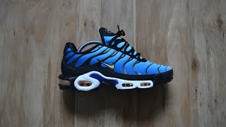 Nike Air Max Plus, or is it the Tn’s or is it the 110s? Ahhh their Nikes!