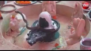 Snake at Shivlinga on Rudrabhishek' Viral video