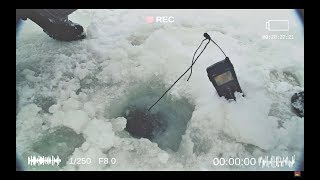 Зимняя рыбалка, как выжить в лесу зимой