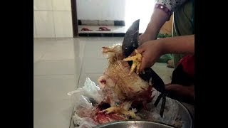 White Color Chicken Cutting at Home in Bangladesh || Chicken Cutting within 5 minutes || WeLove BD