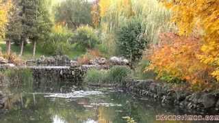 Парк Салгирка, ТНУ, Симферополь, 16.10.2013 г