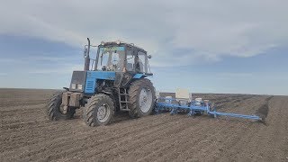 ПОСЕВ ПОДСОЛНЕЧНИКА 2019 МТЗ-892-УПС-8