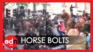 Police Officer Knocked Off Horse in Shocking Incident at London Protest
