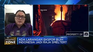 ESDM: Butuh USD 30 Miliar Untuk Bangun Smelter Hingga 2023