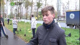 Кленовая аллея появилась на улице Чехова