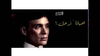 ستوريات احياناً نريد الرحيل_توماس شيلبي