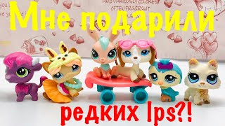 LPS: МНЕ ПОДАРИЛИ РЕДКОГО ПЭТА!? (Mail time #10)
