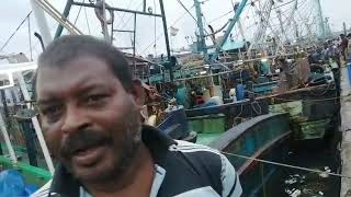 களத்து மேடு.24.Kasi medu fishing harbor.காசி மேடுமீன் பிடிதுறைமுகம்.