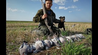 Настрелялись от души на ОХОТЕ НА ВЯХИРЯ  с чучелами. Главное найти место!
