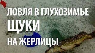 ЗИМНЯЯ РЫБАЛКА в ГЛУХОЗИМЬЕ на ЩУКУ ЖЕРЛИЦАМИ