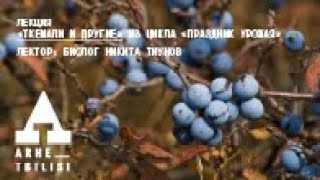 Культурно-просветительский центр "Архэ"