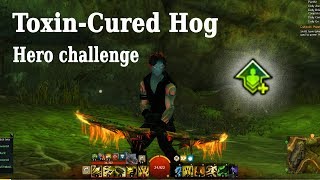 Westwatch patch - hero challenge gw2 Toxin-Cured Hog