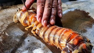 Indonesian Street Food - GIANT ALIEN SHRIMP Seafood Indonesia