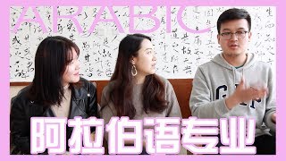 【Iris频道】阿拉伯语专业怎么样？