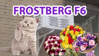 Монтаж холодильного оборудования FROSTBERG F6. Октябрьское поле