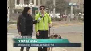 LOS PERROS GUÍA EN EL PERÚ