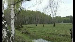 ВИА Песняры Дрозды