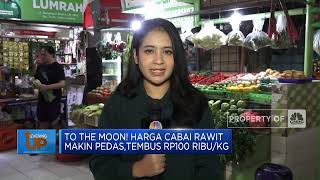To The Moon! Harga Cabai Rawit Makin Pedas,Tembus Rp100 Ribu/Kg