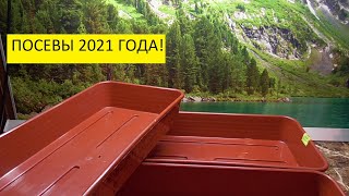 Готовлю тару к посевам ! 