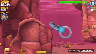 Обзор тигровая акула из хангри Shark Evolution
