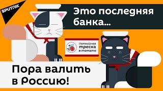 Массовый исход: почему латвийские рыбаки бегут в Россию?