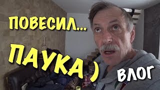 ВЛОГ: Закончились дрова... БОльшой паук...) DIY / Зима на даче