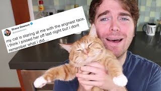 shane dawson RESPONDS to his "cat scandal"