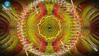 Pet Therapy: Over 22 Hours of Soothing Music for - Music for Cats - Music for Dogs