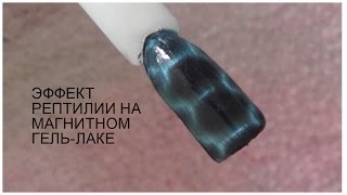 РЕПТИЛИЯ МАГНИТОМ БЕЗ КИСТИ / МАГНИТНЫЙ ГЕЛЬ ЛАК / КОШАЧИЙ ГЛАЗ