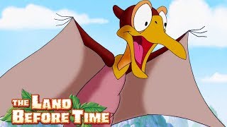 Mejores Momentos de Petrie | En Busca Del Valle Encantado |  Dibujos Animados