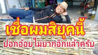 เครื่องปอกอ้อยง่ายมากๆโทร098 294 6391เก็บเงินปลายทาง