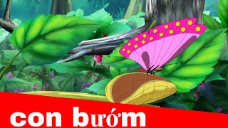 Con bướm | Dạy bé học nhận biết loài côn trùng và vòng đời sâu bướm