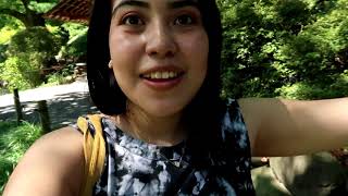 ¿seria así estar en japón?
