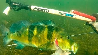 PESCA SUB 2016 - RIO TIETÊ 10 - EQUIPE ATASUB