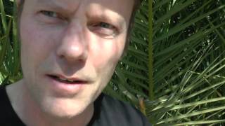 Spannabis 2012: Paradise Seeds