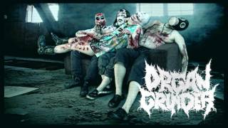 Organ Grinder  - Anus young