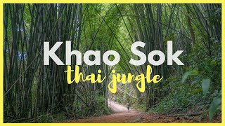 Tajska dżungla I Khao Sok I Thai jungle GH4