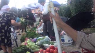 Albania Local Agriculture Alive