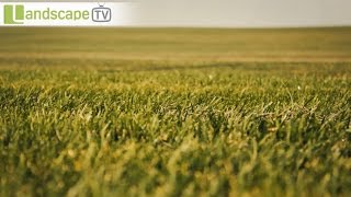 "Evergreen", автобусний тур 2015