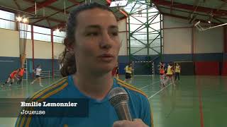 Angers Sport Lac de Maine Handball : gagner pour se sauver