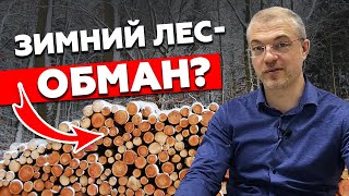 Почему лучше строить дом зимой? / Строительство из зимнего леса