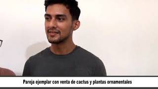 Pareja ejemplar con venta de cactus y plantas ornamentales