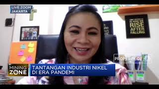 Penjualan Nikel Ore Tak Maksimal, Cash Flow Penambang Kian Tertekan
